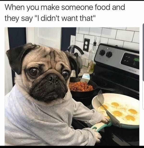 animals cooking memes - When you make someone food and they say "I didn't want that"