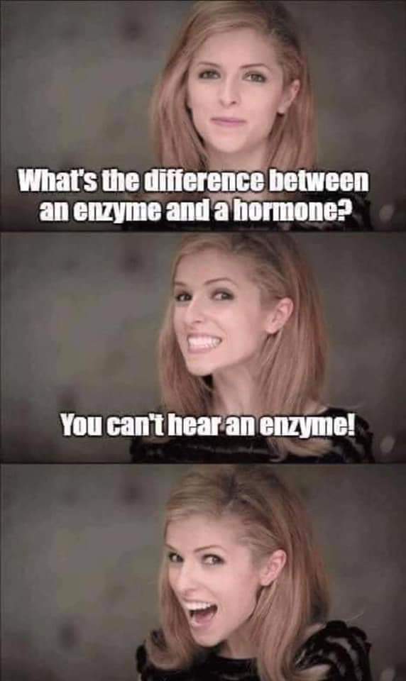 bad pun anna kendrick - What's the difference between an enzyme and a hormone? You can't hear an enzyme!