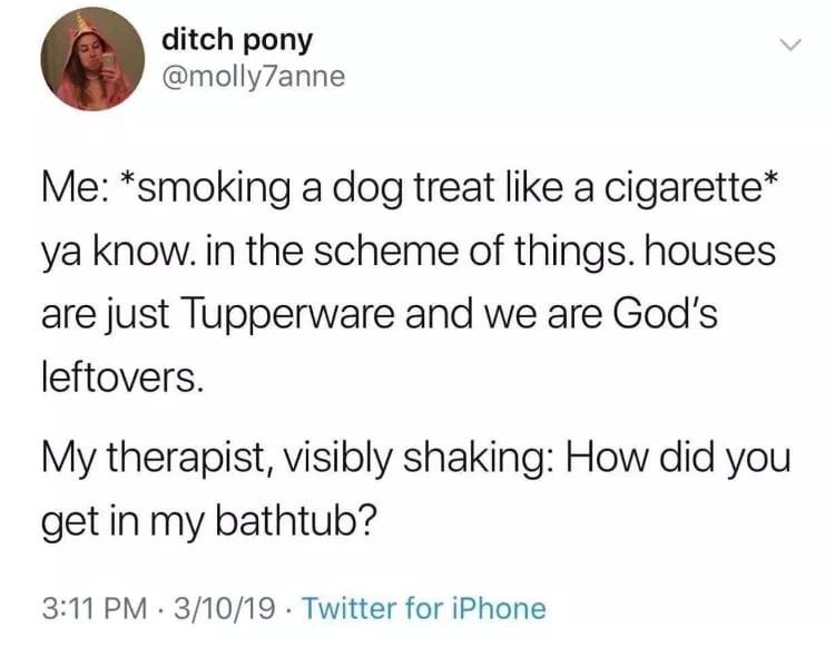gods leftovers - ditch pony Me smoking a dog treat a cigarette ya know. in the scheme of things. houses are just Tupperware and we are God's leftovers. My therapist, visibly shaking How did you get in my bathtub? . 31019 Twitter for iPhone