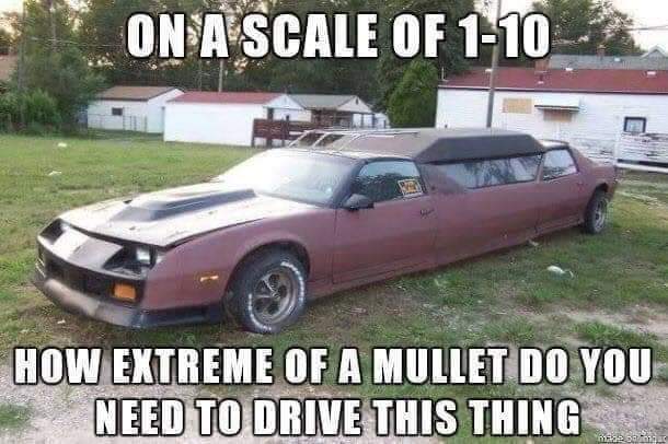 ugly car meme - On A Scale Of 110 How Extreme Of A Mullet Do You Need To Drive This Thing