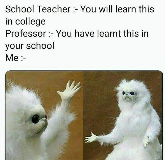 confused white monkey - School Teacher You will learn this in college Professor You have learnt this in your school Me