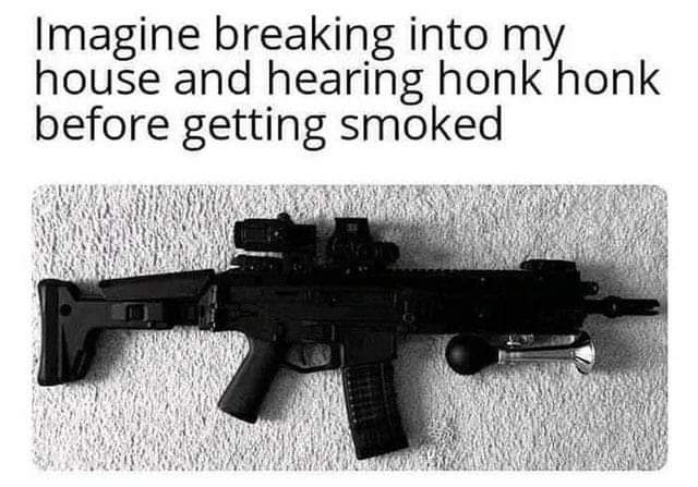 honk honk motherfucker - Imagine breaking into my house and hearing honk honk before getting smoked