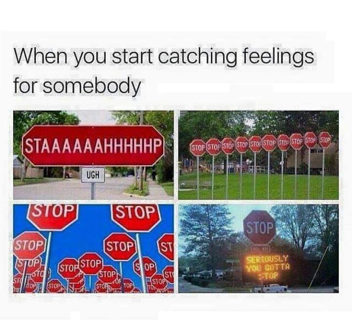 catching feelings post - When you start catching feelings for somebody Stop Stop Stop Stop Stop Stop Stop Stop Stop Stop Ugh Stop Stop Stop Stop Stupu Stop S Op Stopn Stor Stop Seriously You Gotta Op Sid Moto Stop Uiaope Stop S Rl Story Top