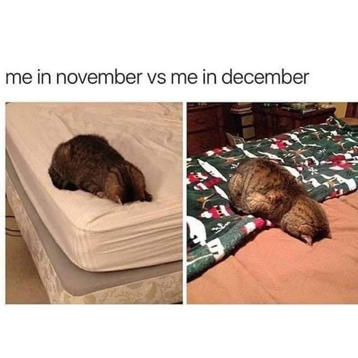 november me vs december me - me in november vs me in december