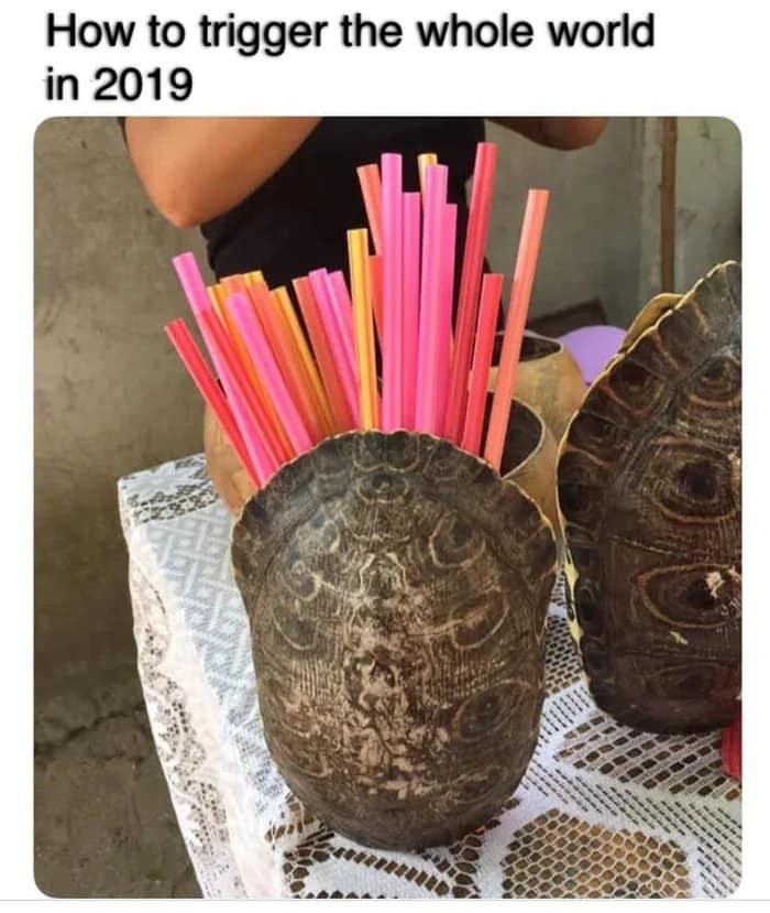 turtle shell with straws - How to trigger the whole world in 2019