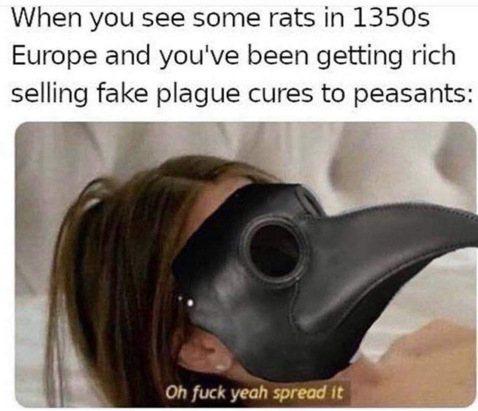 oh fuck yeah spread it meme - When you see some rats in 1350s Europe and you've been getting rich selling fake plague cures to peasants Oh fuck yeah spread it