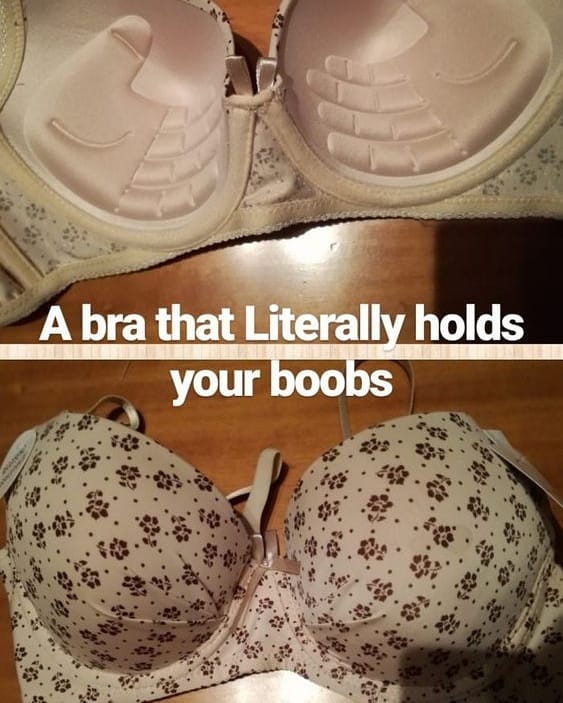 naughty funny meme - A bra that Literally holds your boobs .