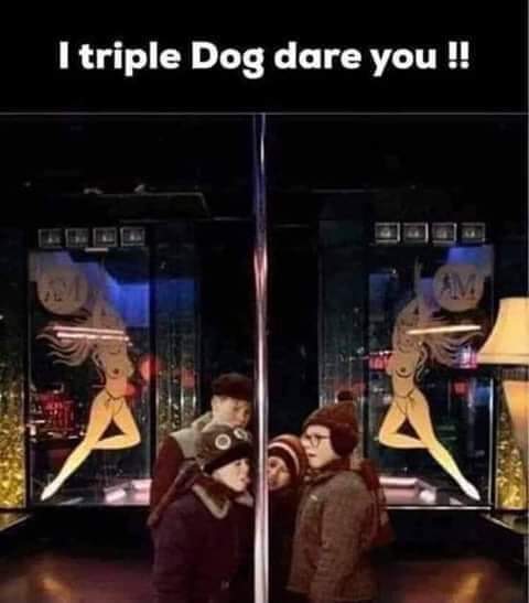 triple dog dare you meme - I triple Dog dare you !!