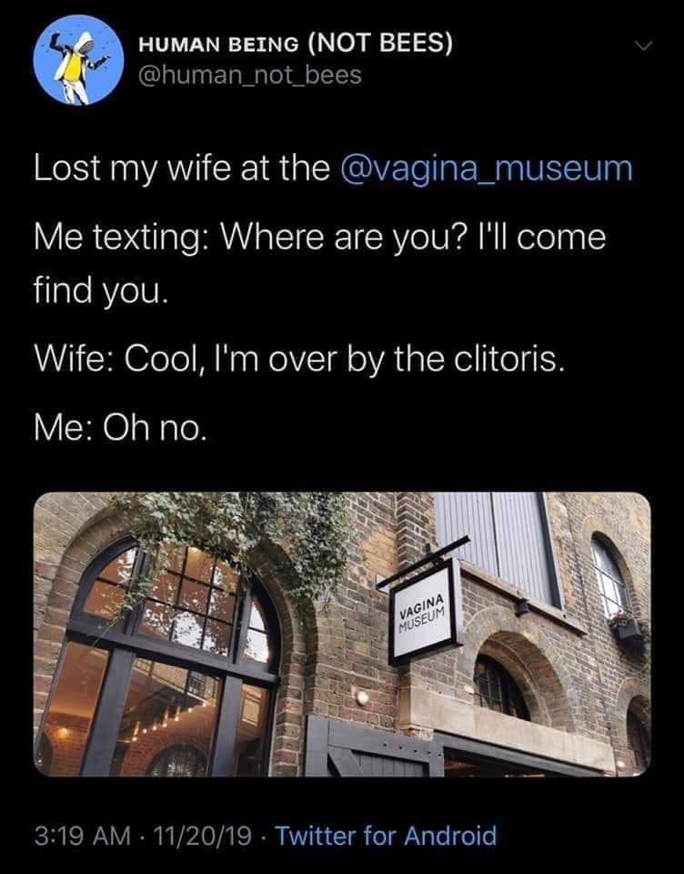 Vagina Museum - Human Being Not Bees Lost my wife at the Me texting Where are you? I'll come find you. Wife Cool, I'm over by the clitoris. Me Oh no. Vagina Museum 112019. Twitter for Android