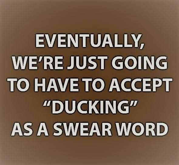 Eventually, We'Re Just Going To Have To Accept Ducking" As A Swear Word