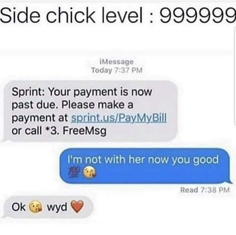 web page - Side chick level 999999 Messag Today Sprint Your payment is now past due. Please make a payment at sprint.usPay MyBill or call 3. FreeMsg I'm not with her now you good Read Ok wyd