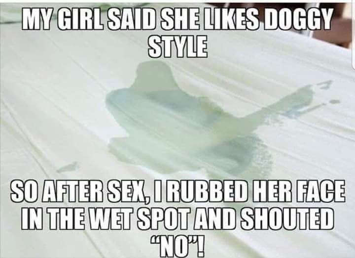 doggy style meme - My Girl Said She Doggy Style So After Sex, I Rubbed Her Face In Thewet Spot And Shouted "No!