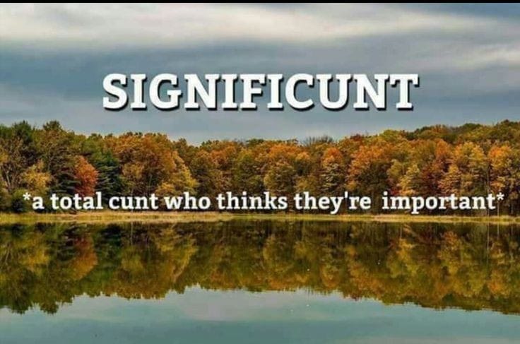 British slang - Significunt .a total cunt who thinks they're important