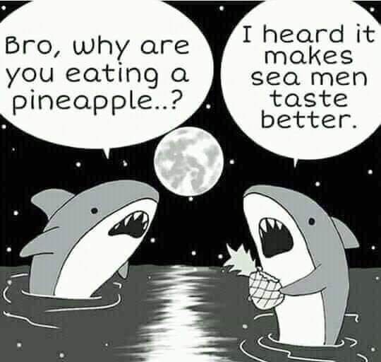 bro why are you eating a pineapple - Bro, why are you eating a pineapple..? I heard it makes sea men taste better.