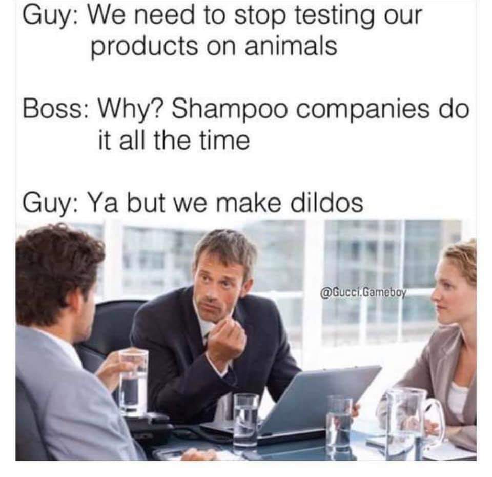 we need to stop testing meme - Guy We need to stop testing our products on animals Boss Why? Shampoo companies do it all the time Guy Ya but we make dildos . Gameboy
