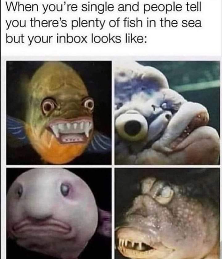 there's plenty of fish in the sea meme - When you're single and people tell you there's plenty of fish in the sea but your inbox looks