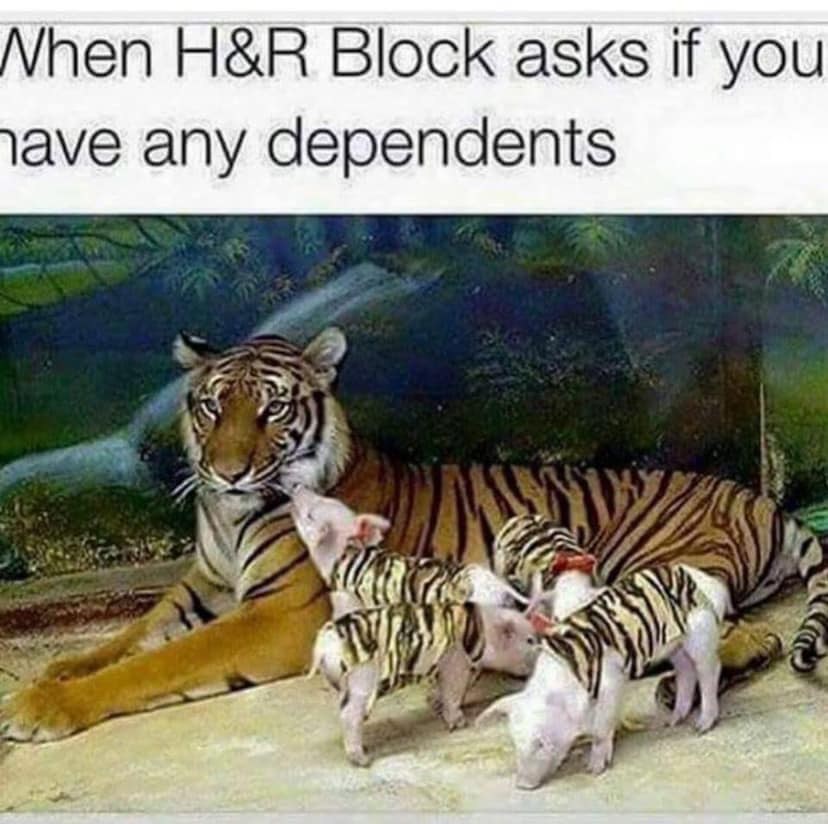 tiger and piglets - Nhen H&R Block asks if you have any dependents