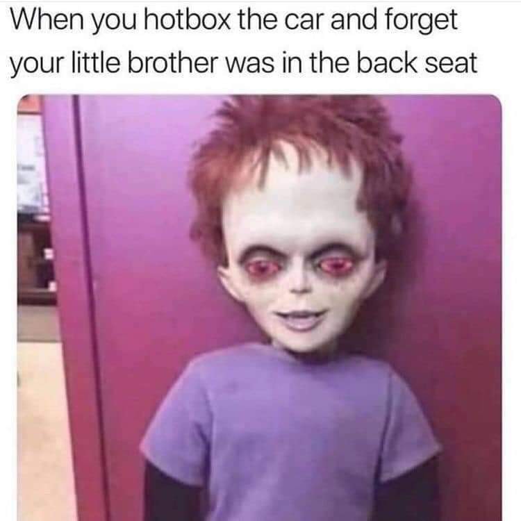 you hotbox the car meme - When you hotbox the car and forget your little brother was in the back seat