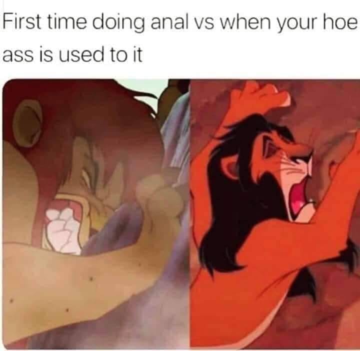 bdsm memes - First time doing anal vs when your hoe ass is used to it