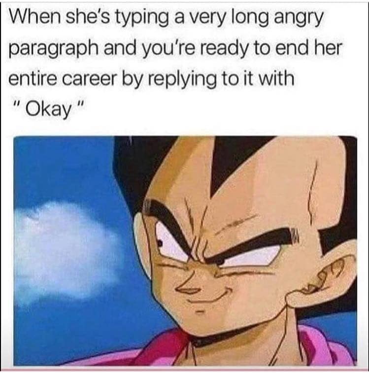 she's angry meme - When she's typing a very long angry paragraph and you're ready to end her entire career by it with "Okay"