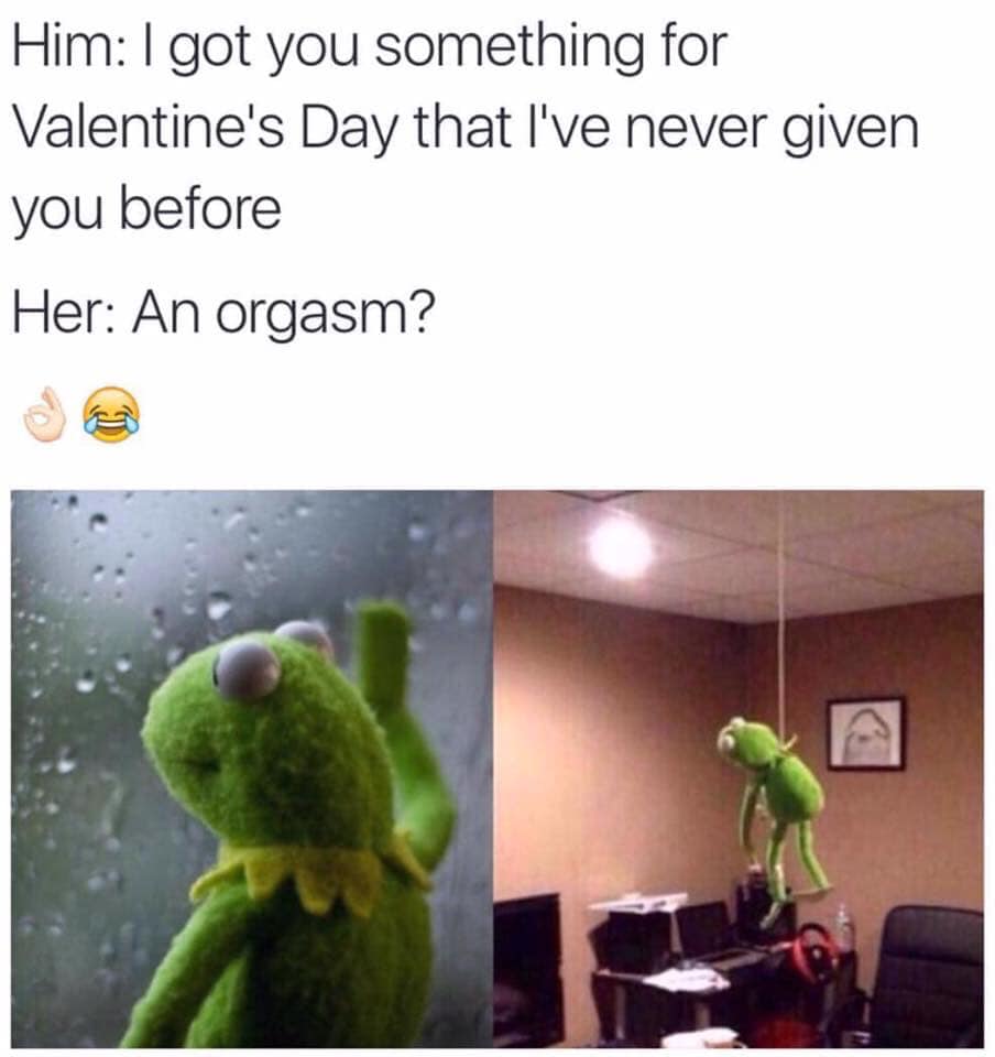 kermit hanging meme - Him I got you something for Valentine's Day that I've never given you before Her An orgasm?