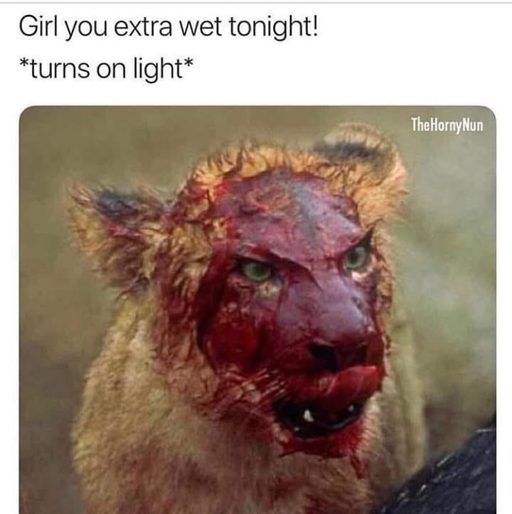 lion covered in blood - Girl you extra wet tonight! turns on light The Horny Nun