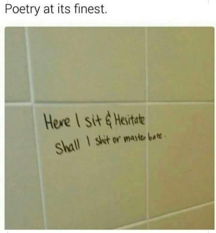 poetry at its finest - Poetry at its finest. Here I sit & Hesitate Shall I shit or master bate