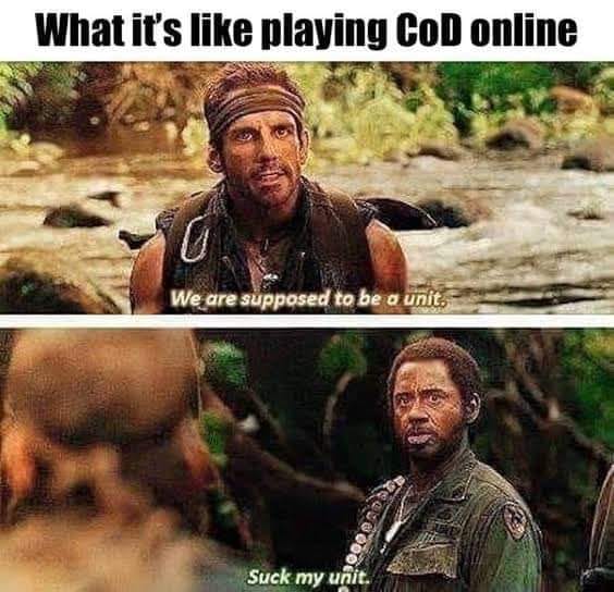 online gaming meme - What it's playing CoD online We are supposed to be a unit. 200 Ods Suck my unit.