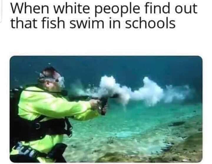 white people find out that fish swim - When white people find out that fish swim in schools