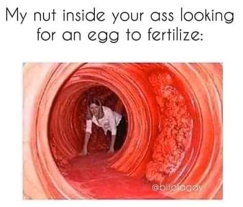 first guy meme - My nut inside your ass looking for an egg to fertilize
