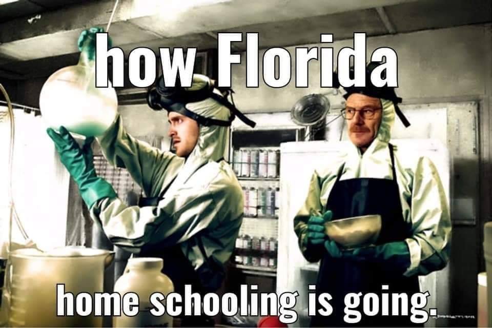 dark memes - edgy memes - how. Florida home schooling is going