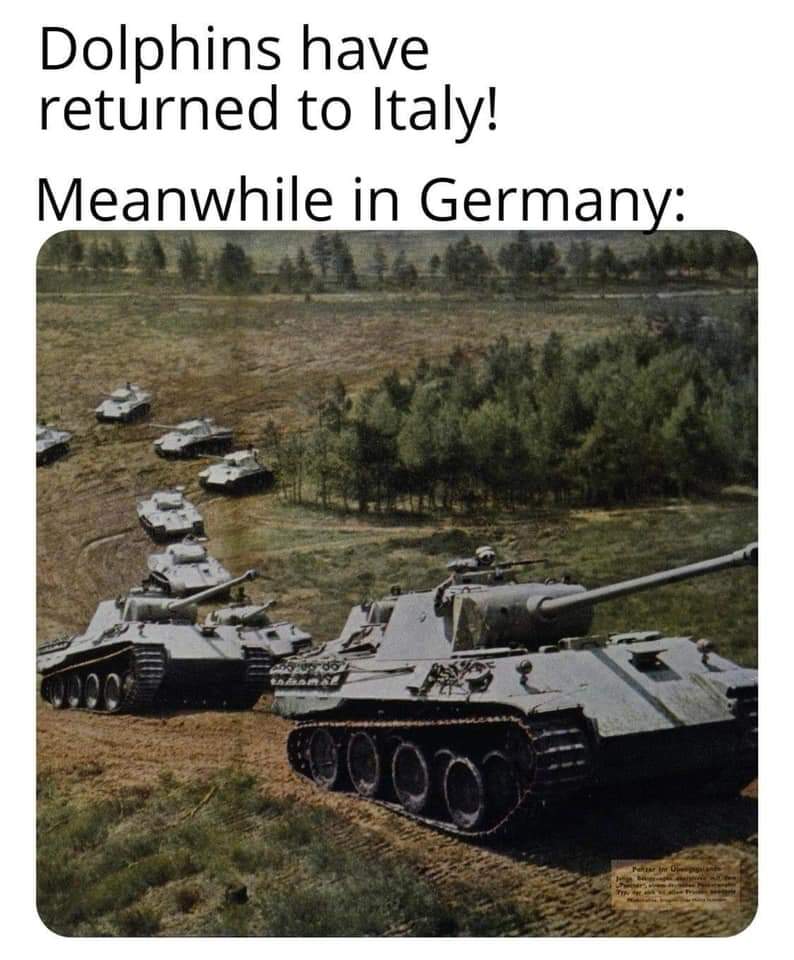 dark memes - edgy memes - Dolphins have returned to Italy! Meanwhile in Germany M Good 20