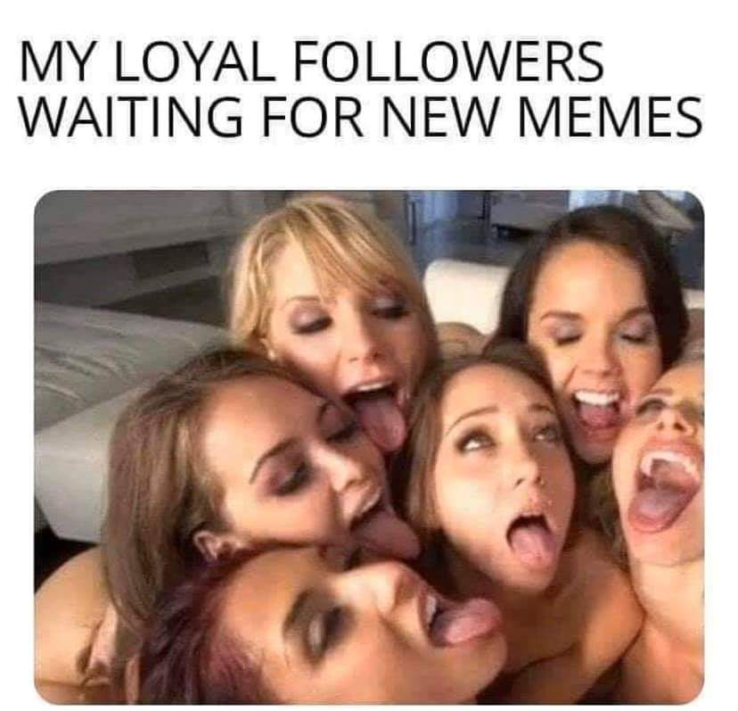 friendship - My Loyal ers Waiting For New Memes