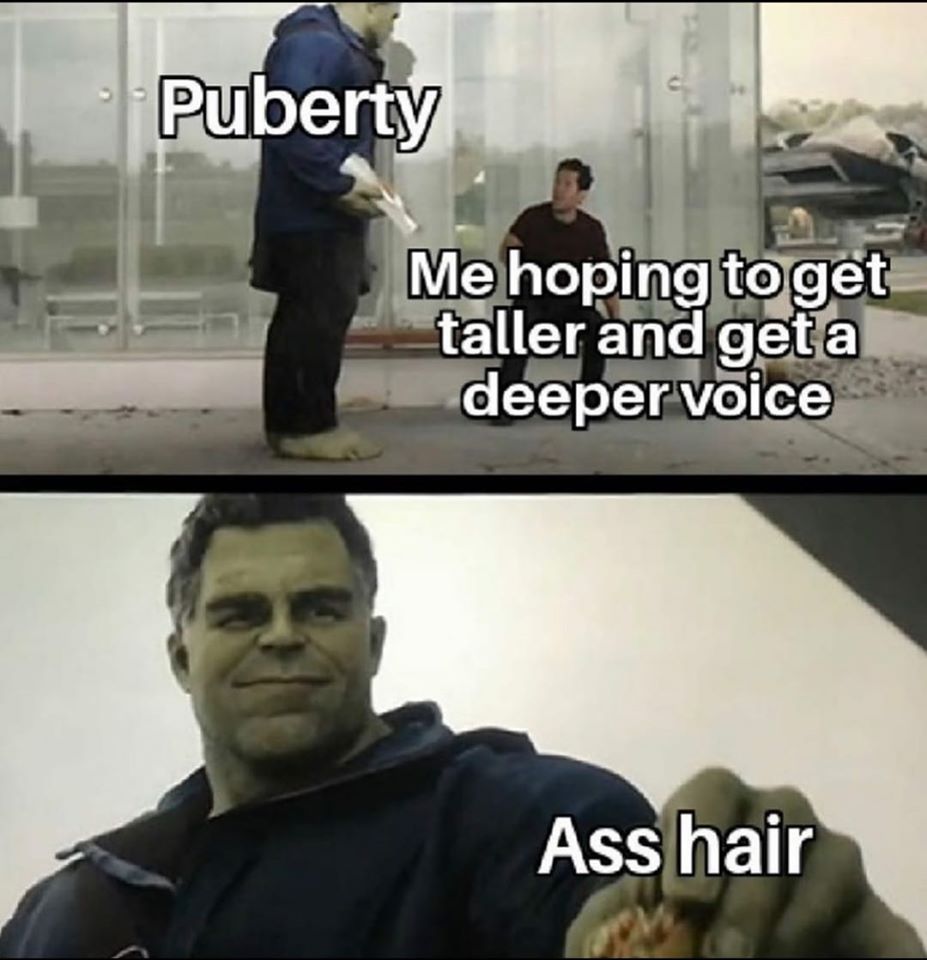 dumb people memes - Puberty Me hoping to get taller and get a deeper voice Ass hair