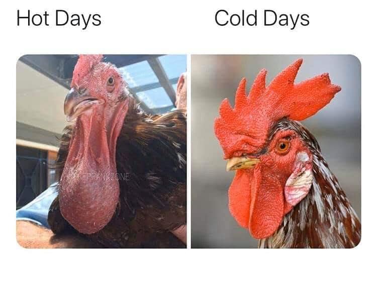 funny adult humor memes - Hot Days Cold Days Prankzone