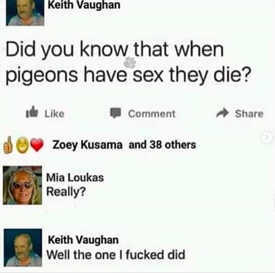 did you know pigeons die after sex - Keith Vaughan Did you know that when pigeons have sex they die? du Comment Zoey Kusama and 38 others Mia Loukas Really? Keith Vaughan Well the one I fucked did