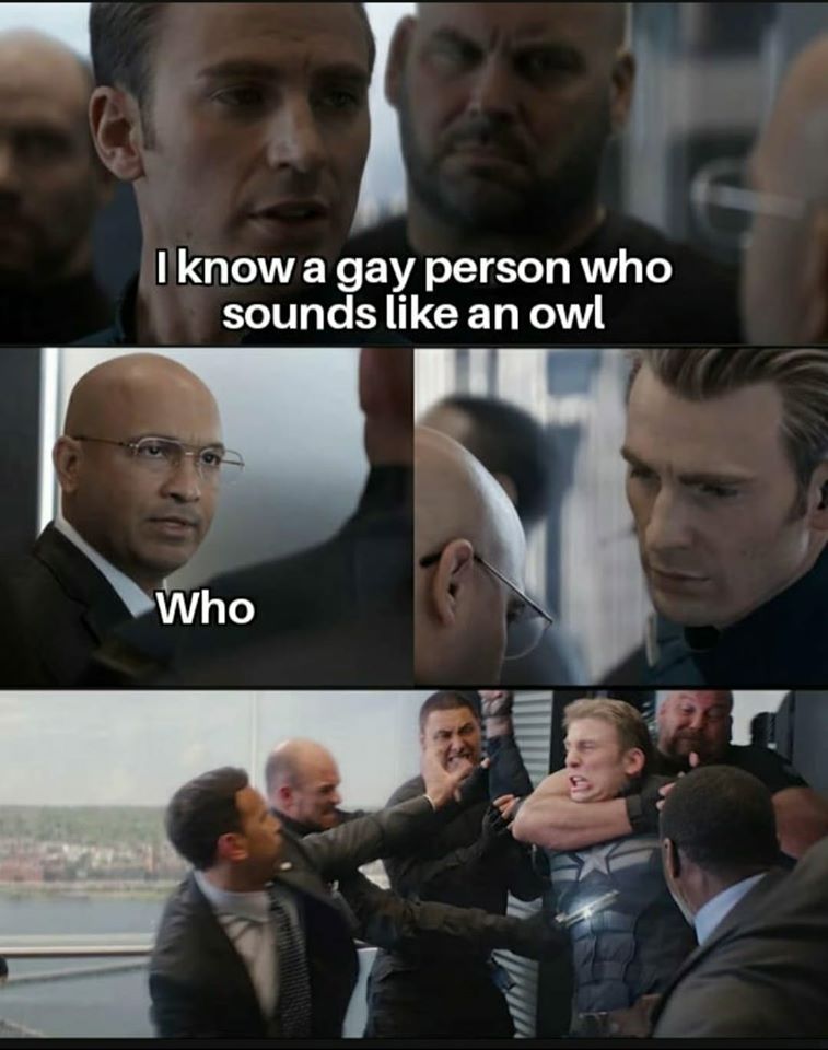 captain america meme template - I know a gay person who sounds an owl Who
