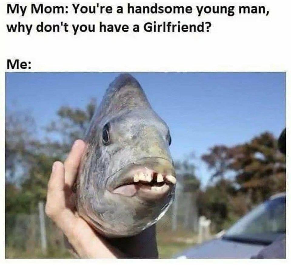 don t you have a girlfriend meme - My Mom You're a handsome young man, why don't you have a Girlfriend? Me