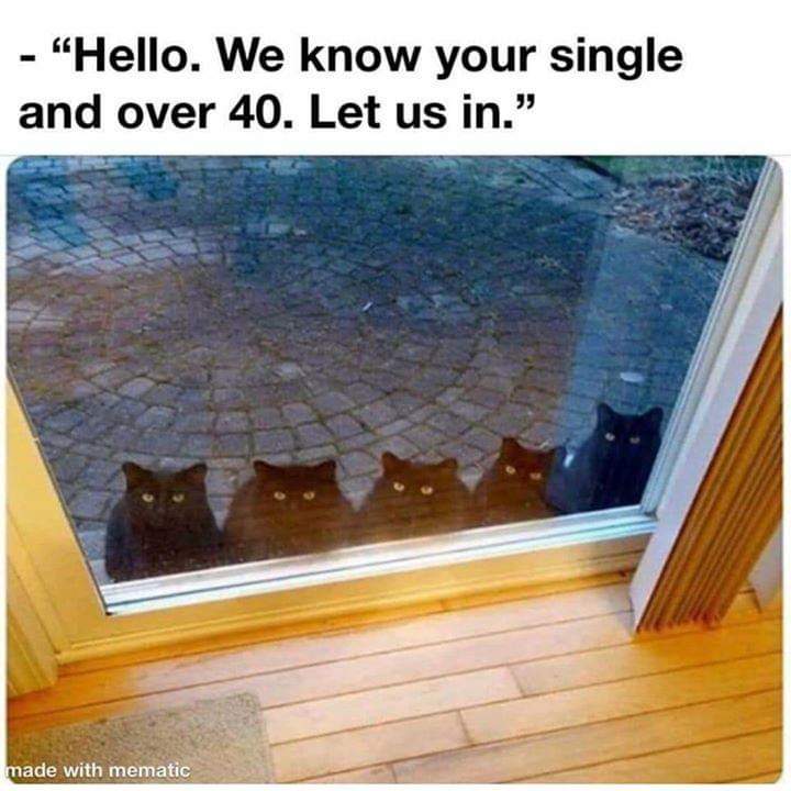 we know you are single and over 40 - "Hello. We know your single and over 40. Let us in." made with mematic