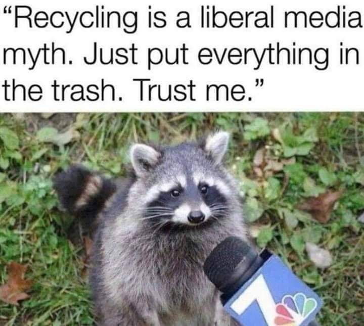raccoon meme - Recycling is a liberal media myth. Just put everything in the trash. Trust me.