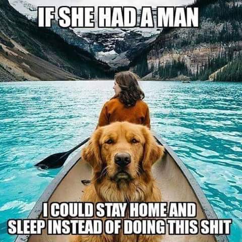 if she had a man dog meme - Tf She Had A Man Icould Stay Home And Sleep Instead Of Doing This Shit
