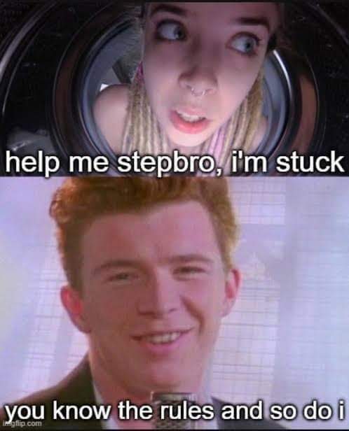 astley never gonna give you - help me stepbro, i'm stuck you know the rules and so do i my flip.com