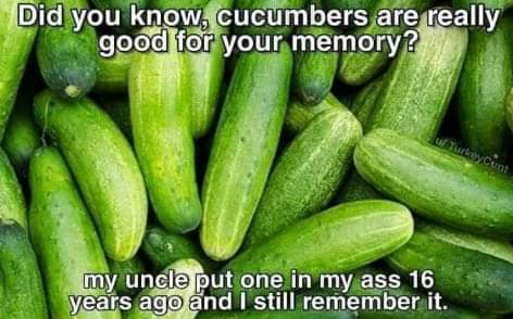 op cucumber - Did you know, cucumbers are really good for your memory? uf Turkey.Cunt my uncle put one in my ass 16 years ago and I still remember it.