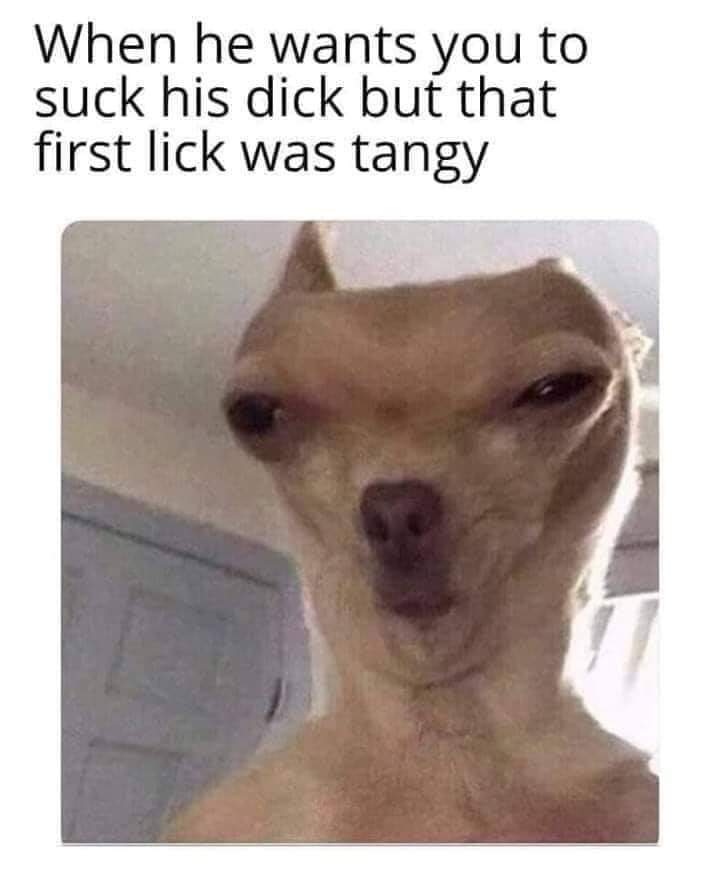 memes 2019 clean funny - When he wants you to suck his dick but that first lick was tangy