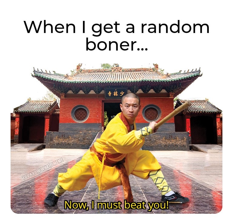 dirty memes - shaolin monastery - When I get a random boner... & # 2 Youkidwomatomene Now, I must beat you!