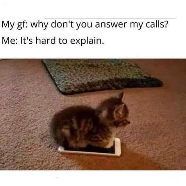 relationship memes - no talk with me im angy - My gf why don't you answer my calls? Me It's hard to explain.