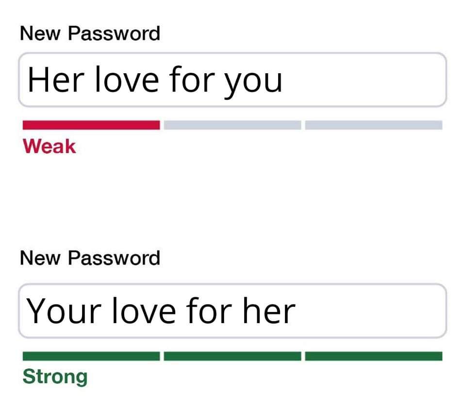 relationship memes - your love for her password - New Password Her love for you Weak New Password Your love for her Strong