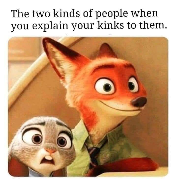 relationship memes - two kinds of people when you explain your kinks to them - The two kinds of people when you explain your kinks to them.