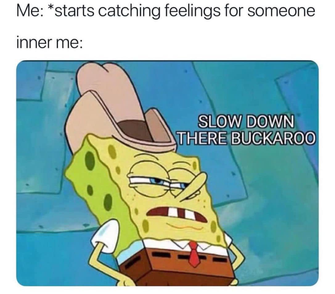relationship memes - slow down there buckaroo - Me starts catching feelings for someone inner me Slow Down There Buckaroo