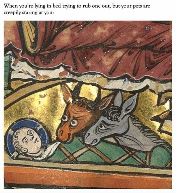 classical art memes - dank memes - medieval classical art memes - When you're lying in bed trying to rub one out, but your pets are creepily staring at you
